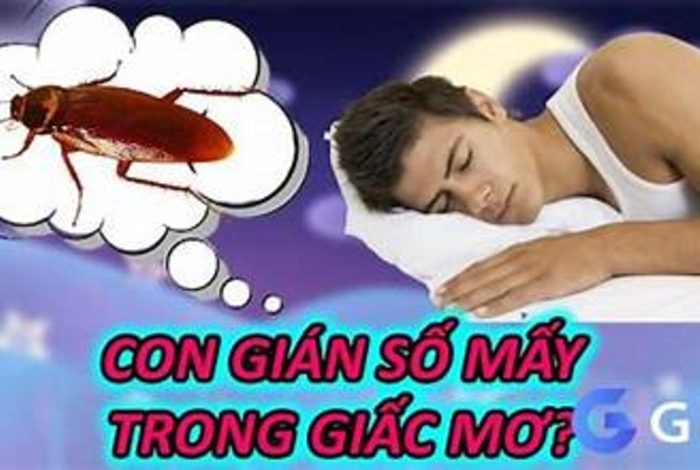 Giải Mã Giấc Mơ Thấy Con Gián: Ý Nghĩa Tâm Linh Và Những Con Số May Mắn